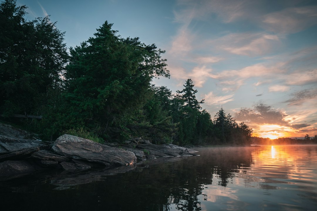 Tree-lined shoreline reflected in calm water